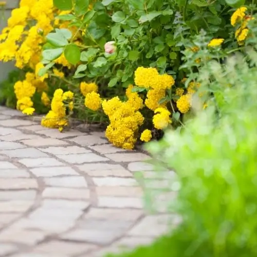 outdoor space